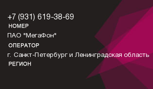 9316193869